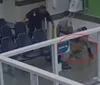 Genro enfurecido invade hospital e agride sogra; veja o vídeo imagem