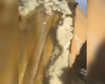 Homem é preso após receber encomenda com quase 5kg de maconha em Alagoas