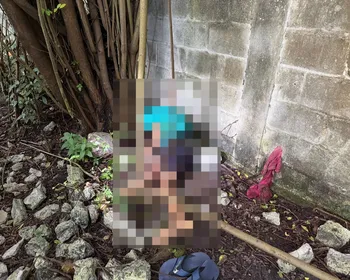 Jovem é encontrado morto com tiro na cabeça em terreno baldio
