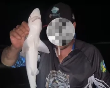 Vídeo mostra pescador brincando com tubarão capturado em Boa Viagem