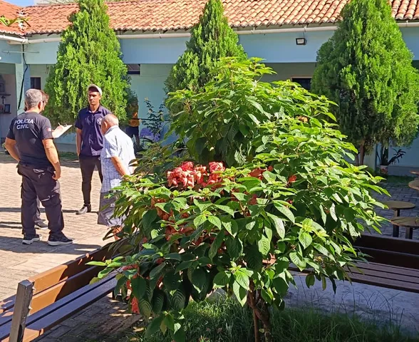 PCAL identifica idoso desaparecido há 13 anos e promove reencontro com família em Brasília