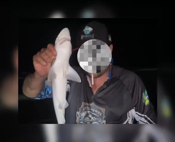 Vídeo mostra pescador brincando com tubarão capturado em Boa Viagem
