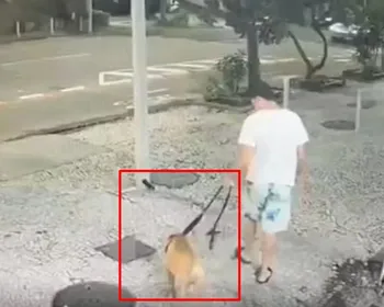 Homem é indiciado por matar pit bull afogado em mar de Copacabana