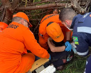Veja imagens do resgate de adolescente de 13 anos ferido após queda de árvore sobre fiação