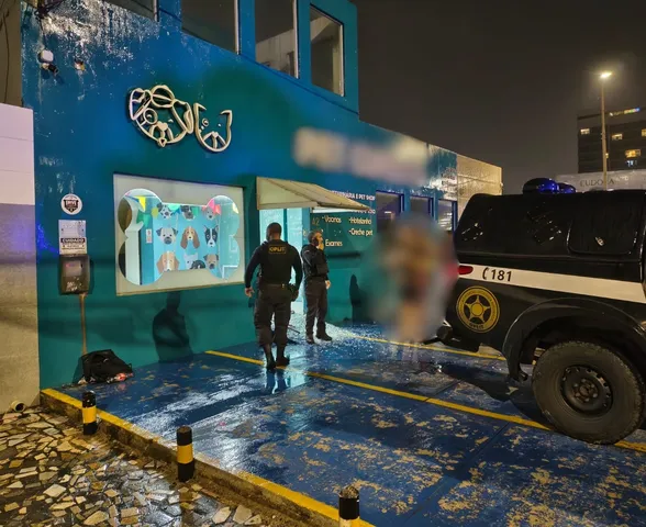 Casal é preso em flagrante após furtar clínica veterinária e pet shop em Cruz das Almas