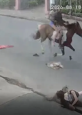 Casal cai de cavalo durante trajeto em alta velocidade em Arapiraca; veja vídeo