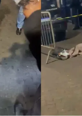 Homem em situação de rua é achado morto; veja vídeo