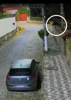 “Mulher-gato” invade casas durante a madrugada e assusta moradores