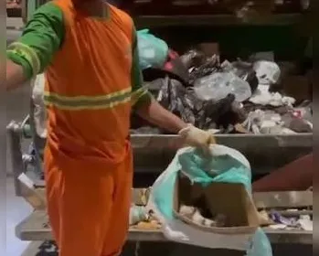Gari salva ninhada de filhotes de gato descartada no lixo