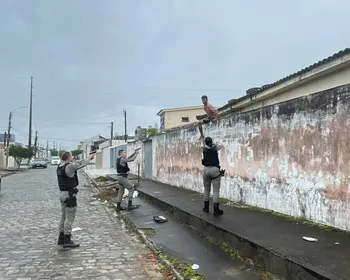 Homem é preso após invadir casa à venda e tentar furtar fiação em Arapiraca