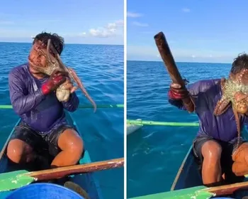 Pescador é atacado por polvo e luta para soltá-lo do seu rosto