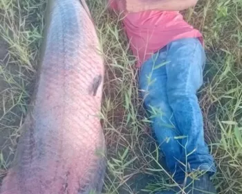 Pescador fisga pirarucu de 77 quilos em Rio Largo e brinca: "O frito está garantido"