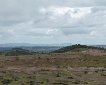 PF prende suspeito de devastar área de Caatinga que equivale a 800 campos de futebol