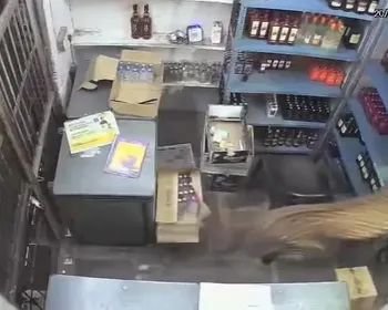 Vídeo: Leopardo pula sobre balcão e ataca comerciante