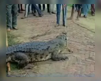 VÍDEO: menino de 12 anos é arrastado e devorado por crocodilo na Índia