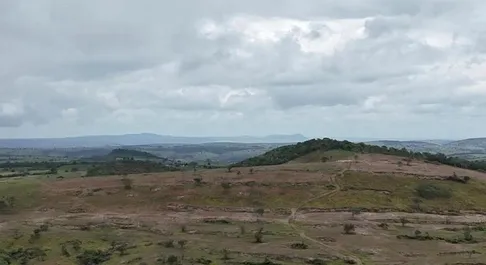 PF prende suspeito de devastar área de Caatinga que equivale a 800 campos de futebol