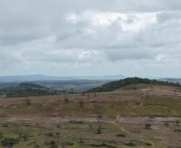 PF prende suspeito de devastar área de Caatinga que equivale a 800 campos de futebol