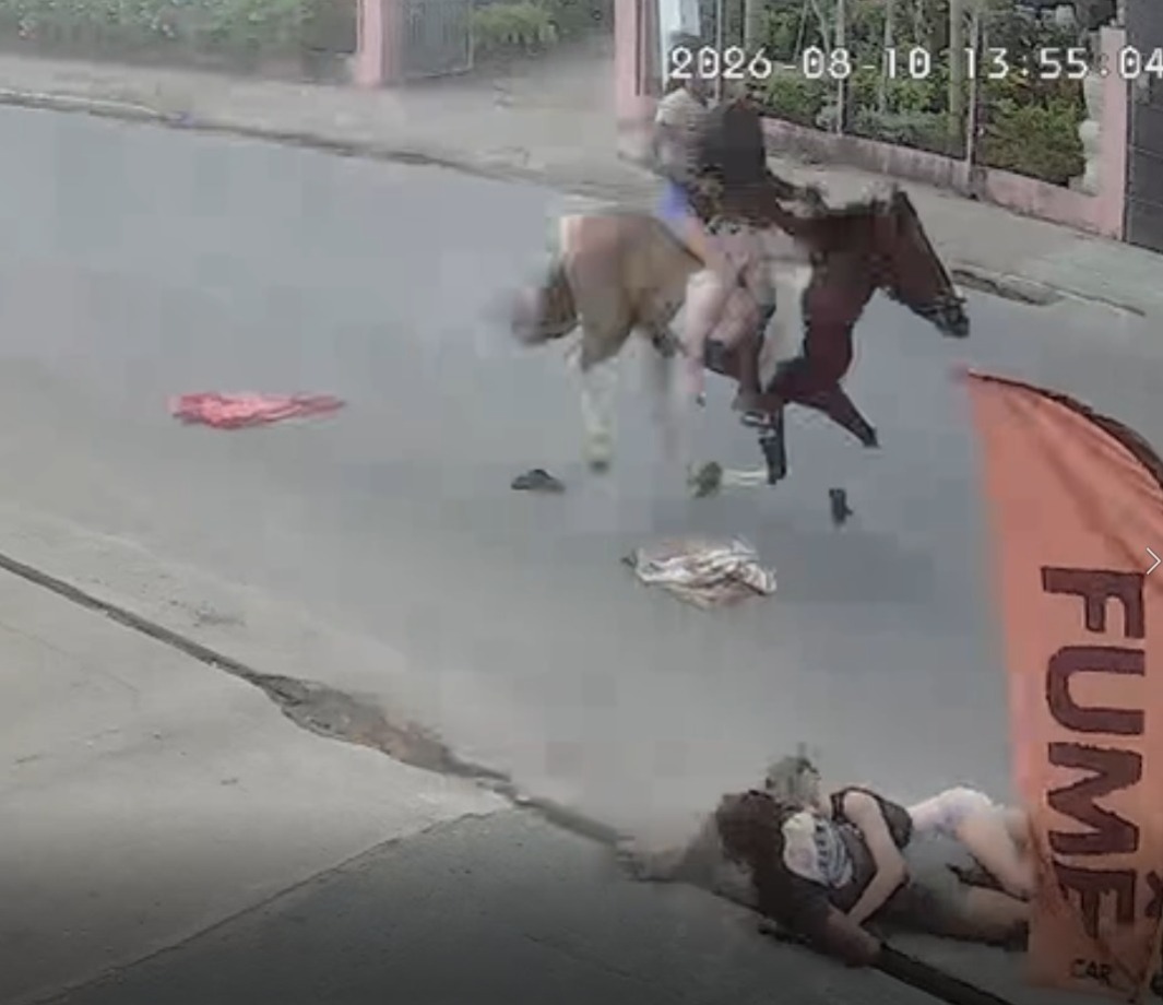 Casal cai de cavalo durante trajeto em alta velocidade em Arapiraca; veja vídeo