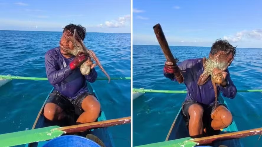 Pescador é atacado por polvo e luta para soltá-lo do seu rosto