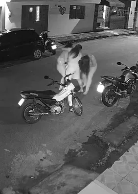 Enfermeira esfaqueia amiga em União dos Palmares; vídeo