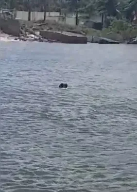 Policiais resgatam jovem levado pela correnteza durante pesca em Marechal Deodoro