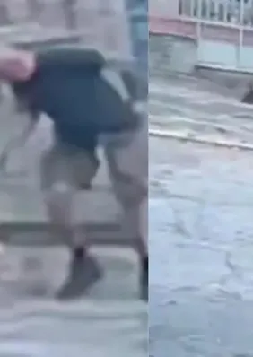 Cachorro é morto a tiros após se aproximar de homem que passeava com outro cão