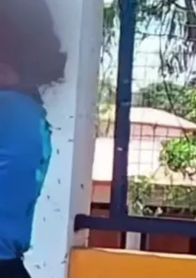 Menina atacada por abelhas em MG está estável, mas sem previsão de alta
