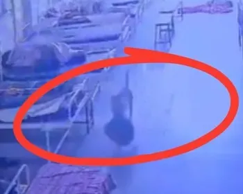 Cachorro "furta" bolsa com R$ 21 mil em bens dentro de hospital na Índia
