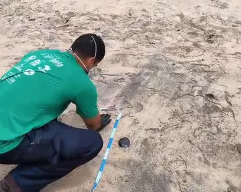 Manchas de óleo são registradas no litoral sul de AL um dia após ocorrência em Maceió