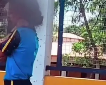 Menina atacada por abelhas em MG está estável, mas sem previsão de alta