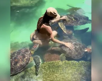 Tartaruga morde nádega de modelo durante ensaio em piscina natural