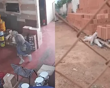 Vídeo: ladrão desmaia após ser atacado por cão em tentativa de furto