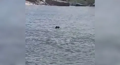 Policiais resgatam jovem levado pela correnteza durante pesca em Marechal Deodoro