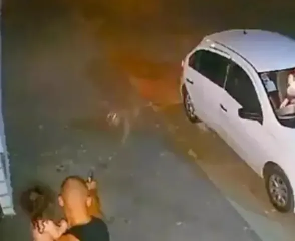 PM de folga mata pitbull após cão avançar contra ele e filha de 1 ano