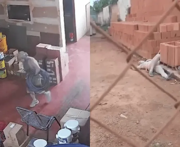 Vídeo: ladrão desmaia após ser atacado por cão em tentativa de furto