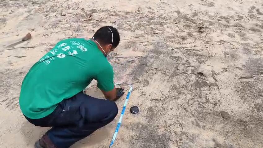 Manchas de óleo são registradas no litoral sul de AL um dia após ocorrência em Maceió
