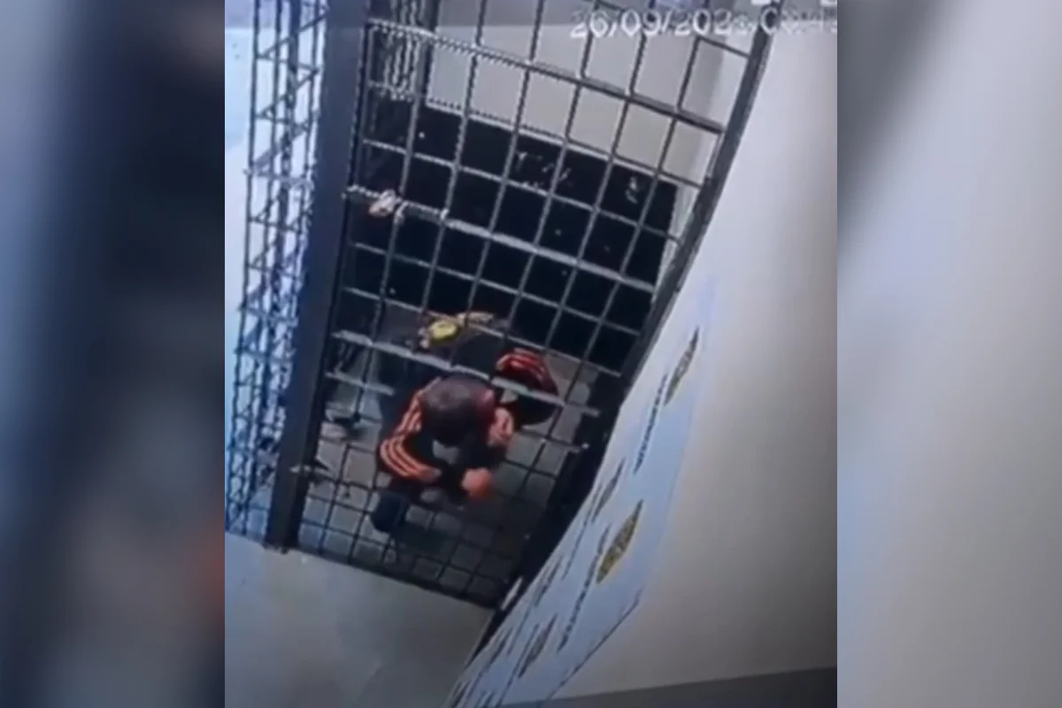 Preso passa por buraco em grade de cela e foge de delegacia