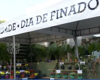 Cemitérios e floriculturas de Maceió se preparam para o Dia de Finados