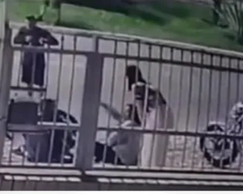 Mulher passa mal e morre durante briga com namorado após acidente