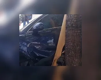 Veículo capota após atingir árvore no canteiro da Fernandes Lima