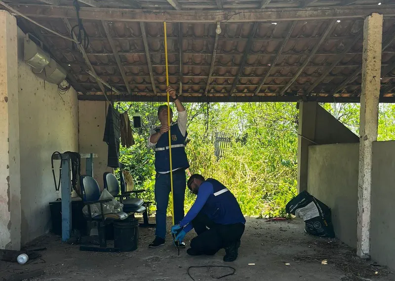 Veja imagens da reprodução simulada da morte da criança encontrada enforcada
