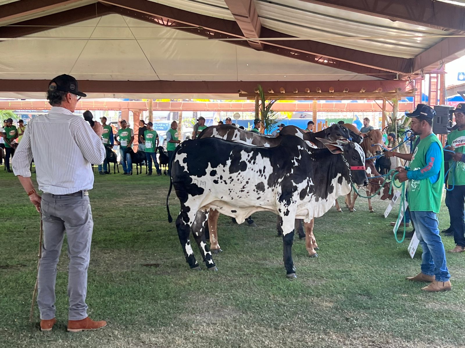 Expoagro-AL recebe mais de 10 mil visitantes no primeiro fim de semana