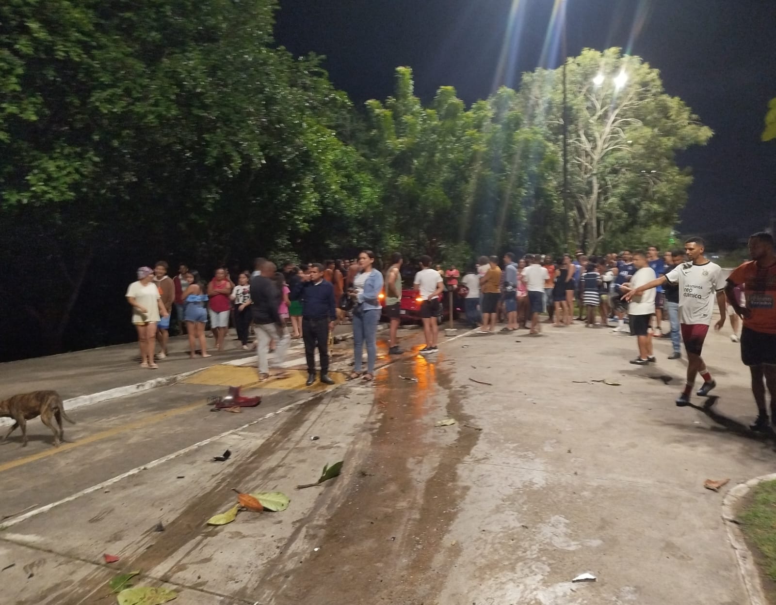 Pânico, carro de luxo e correria: motorista de Porsche perde controle e invade Bosque das Arapiracas