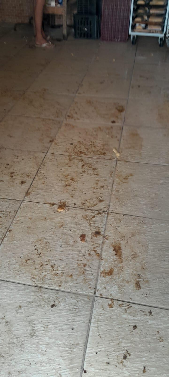 Sem controle de pragas: Vigilância Sanitária interdita fábrica de bolos em Maceió