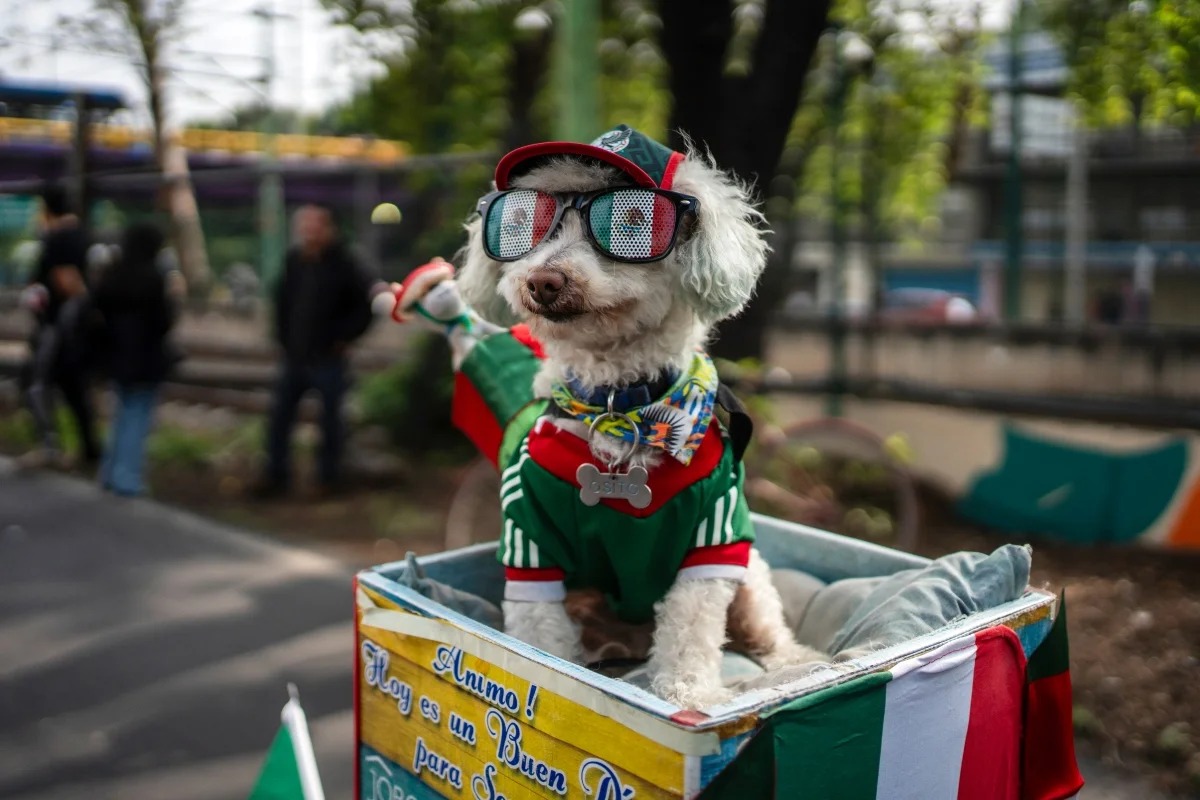 Felix Marquez/picture alliance via Getty Images