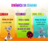 Dinâmica da semana do BBB 24 tem Poder sem Volta e Paredão Quádruplo imagem
