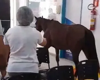 Cavalo aparece em posto e diverte pacientes: "veio se consultar"