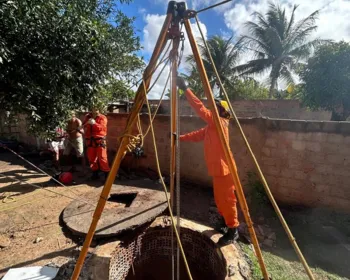 Vaca De Cerca De 150 Kg é Resgatada Após Cair Em Cacimba