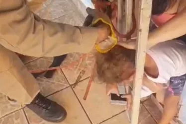 
			
				Bombeiros resgatam criança que prendeu a cabeça em grade.
			
			