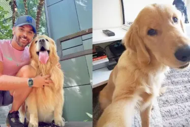 
			
				Cachorro morre após falha no transporte aéreo da Gol em Guarulhos
			
			